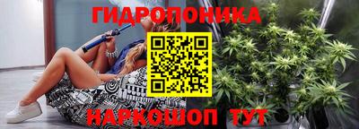 индика Мариинск