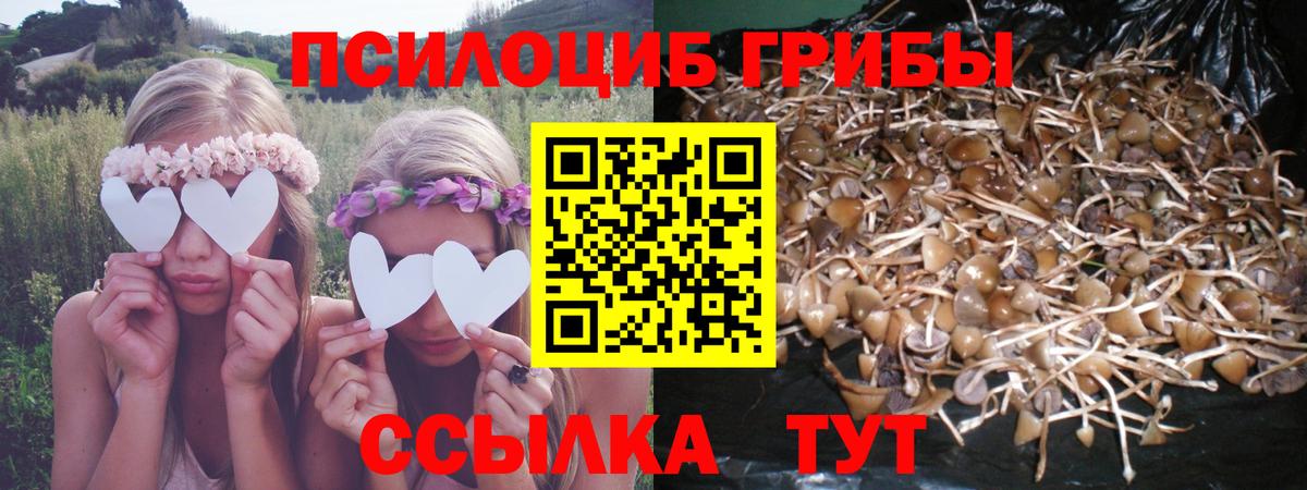 Псилоцибиновые грибы Psilocybine cubensis  Вход с VPN  Чапаевск 